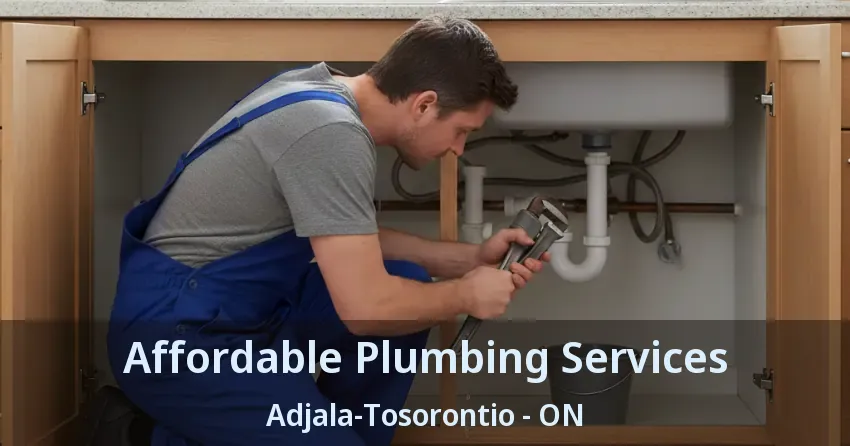 Affordable Plumbing Services Adjala-Tosorontio - ON