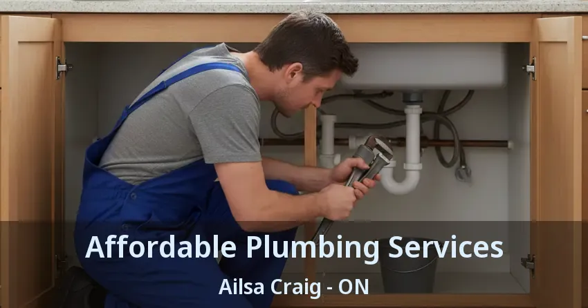 Affordable Plumbing Services Ailsa Craig - ON