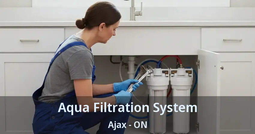 Aqua Filtration System Ajax - ON