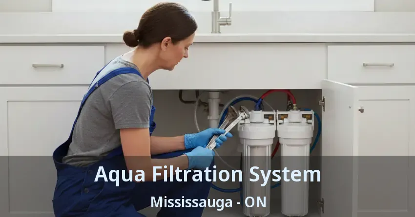 Aqua Filtration System Mississauga - ON
