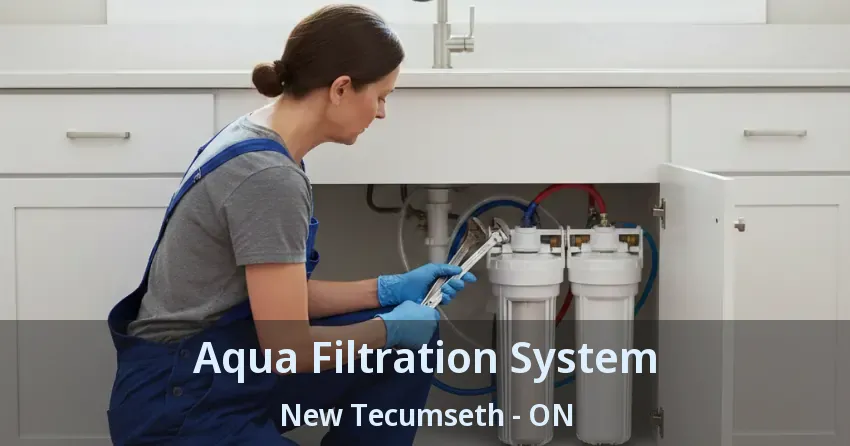 Aqua Filtration System New Tecumseth - ON
