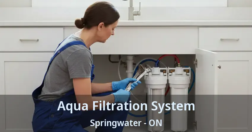 Aqua Filtration System Springwater - ON