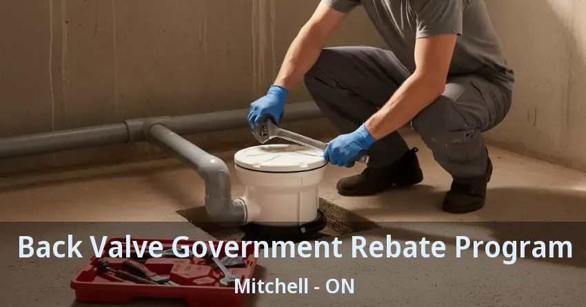 Back Valve Government Rebate Program Mitchell - ON