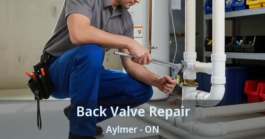 Back Valve Repair Aylmer - ON