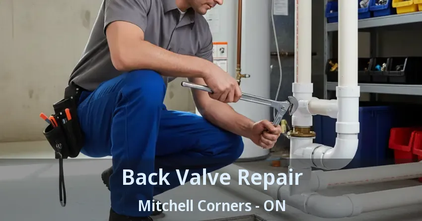 Back Valve Repair Mitchell Corners - ON