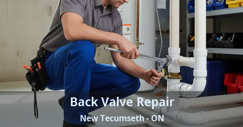Back Valve Repair New Tecumseth - ON