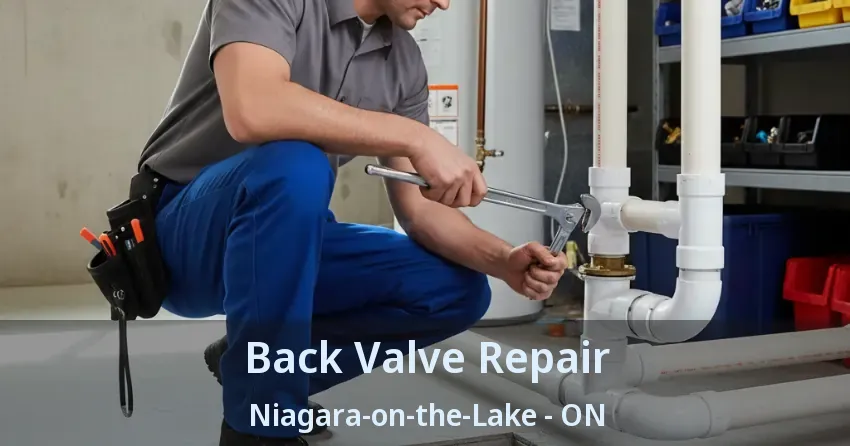 Back Valve Repair Niagara-on-the-Lake - ON