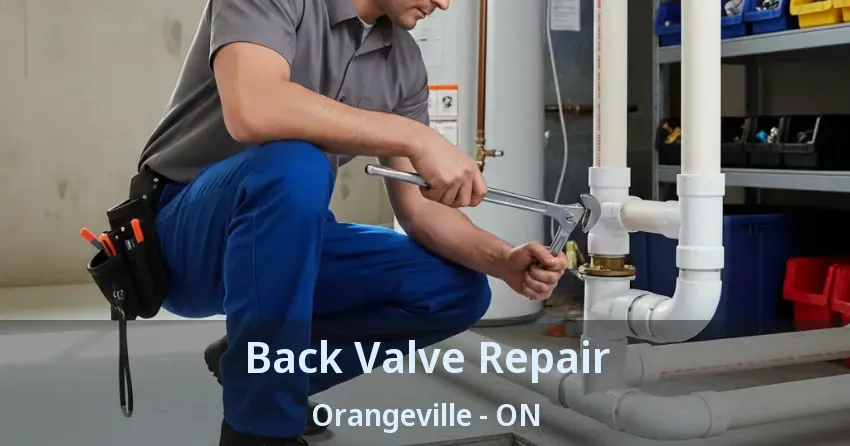 Back Valve Repair Orangeville - ON