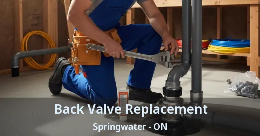 Back Valve Replacement Springwater - ON