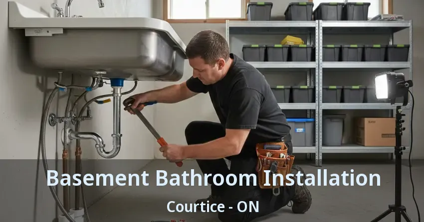 Basement Bathroom Installation Courtice - ON