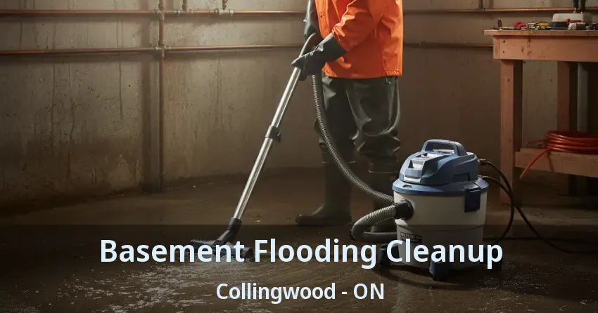 Basement Flooding Cleanup Collingwood - ON
