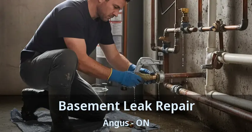Basement Leak Repair Angus - ON