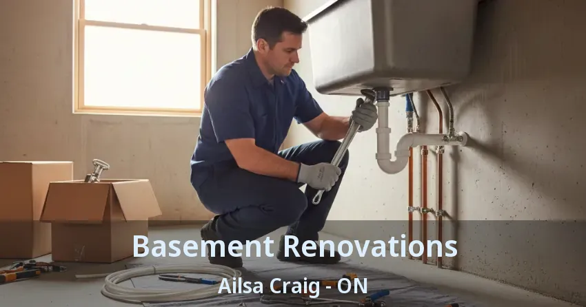 Basement Renovations Ailsa Craig - ON