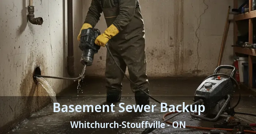 Basement Sewer Backup Whitchurch-Stouffville - ON