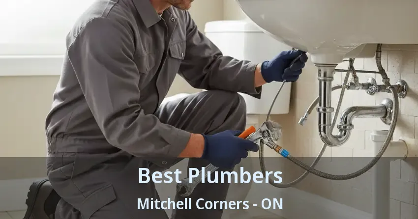 Best Plumbers Mitchell Corners - ON