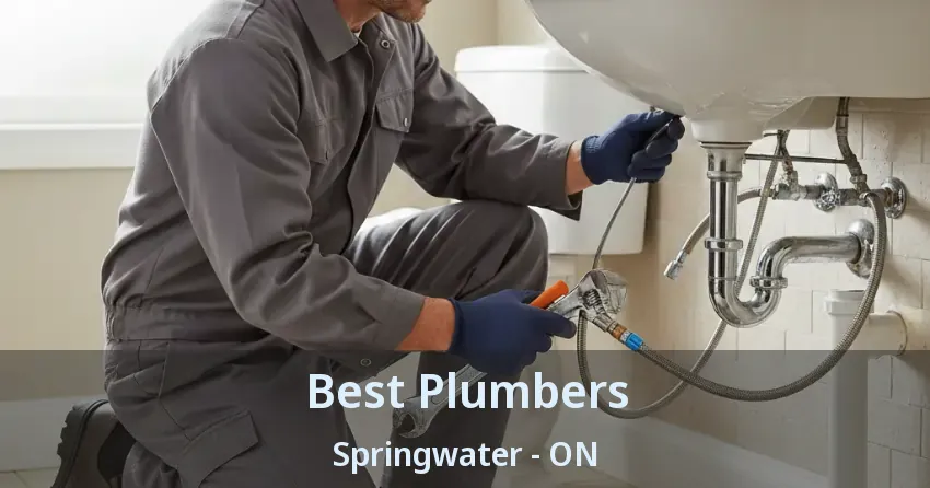 Best Plumbers Springwater - ON