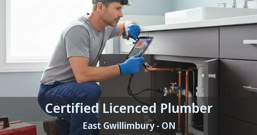 Certified Licenced Plumber East Gwillimbury - ON