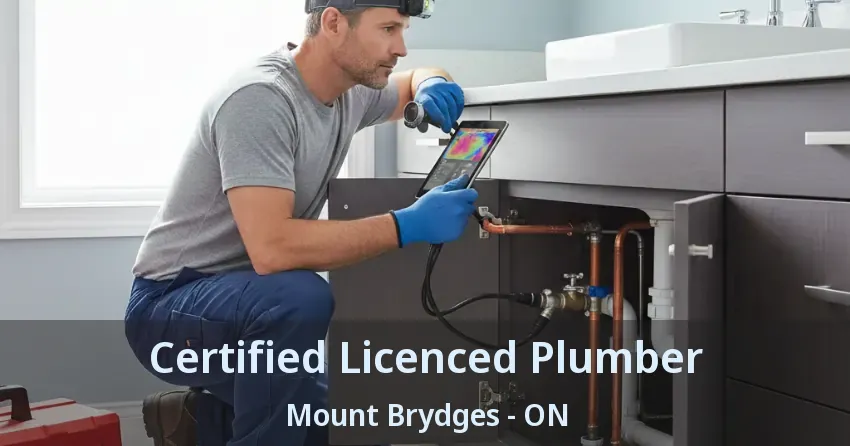 Certified Licenced Plumber Mount Brydges - ON