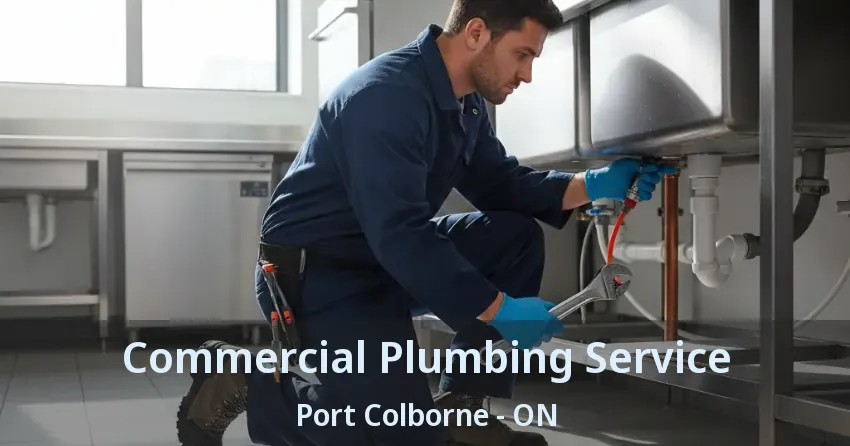 Commercial Plumbing Service Port Colborne - ON