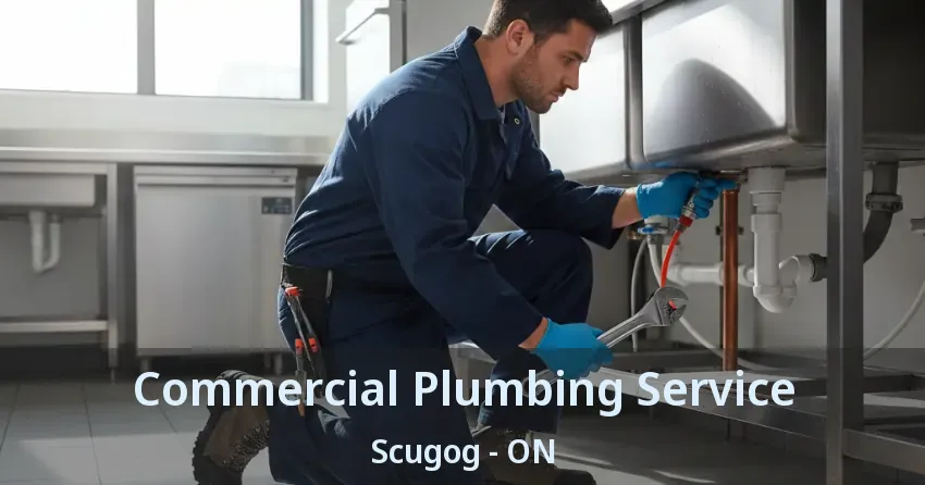 Commercial Plumbing Service Scugog - ON