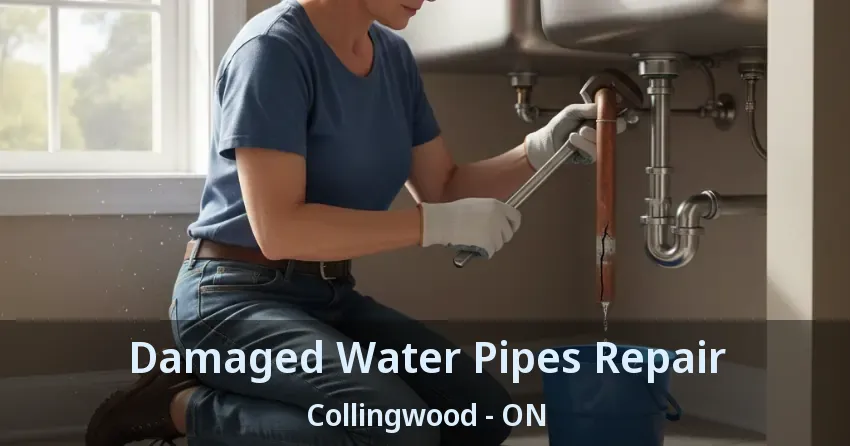 Damaged Water Pipes Repair Collingwood - ON