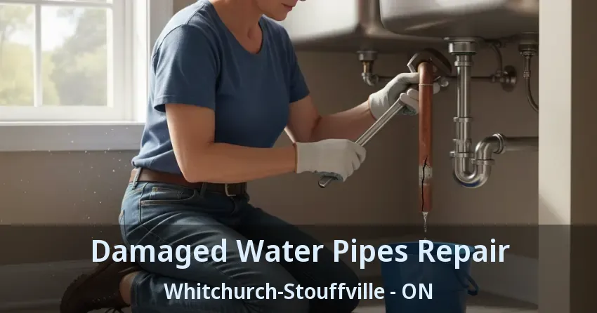 Damaged Water Pipes Repair Whitchurch-Stouffville - ON