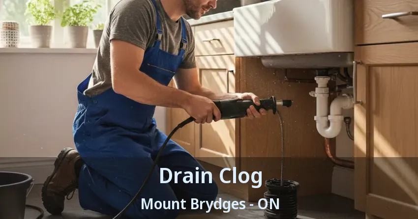 Drain Clog Mount Brydges - ON