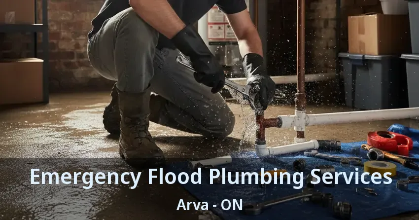 Emergency Flood Plumbing Services Arva - ON