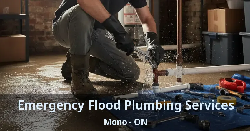 Emergency Flood Plumbing Services Mono - ON