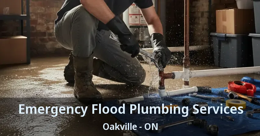 Emergency Flood Plumbing Services Oakville - ON