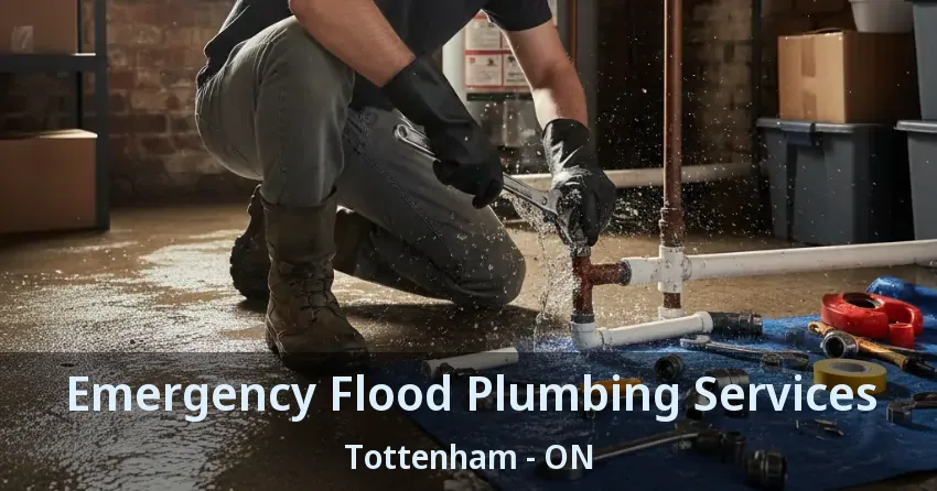 Emergency Flood Plumbing Services Tottenham - ON