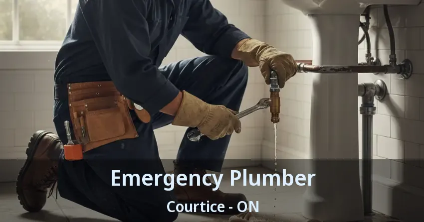 Emergency Plumber Courtice - ON