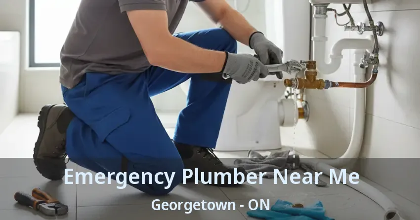 Emergency Plumber Near Me Georgetown - ON