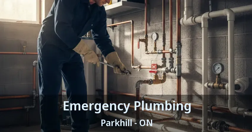 Emergency Plumbing Parkhill - ON