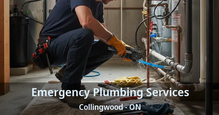 Emergency Plumbing Services Collingwood - ON