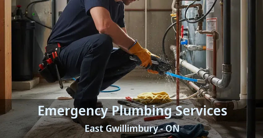 Emergency Plumbing Services East Gwillimbury - ON