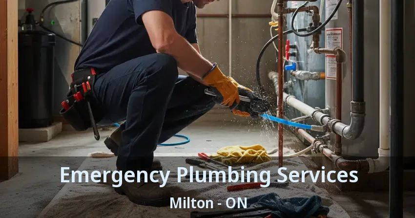 Emergency Plumbing Services Milton - ON