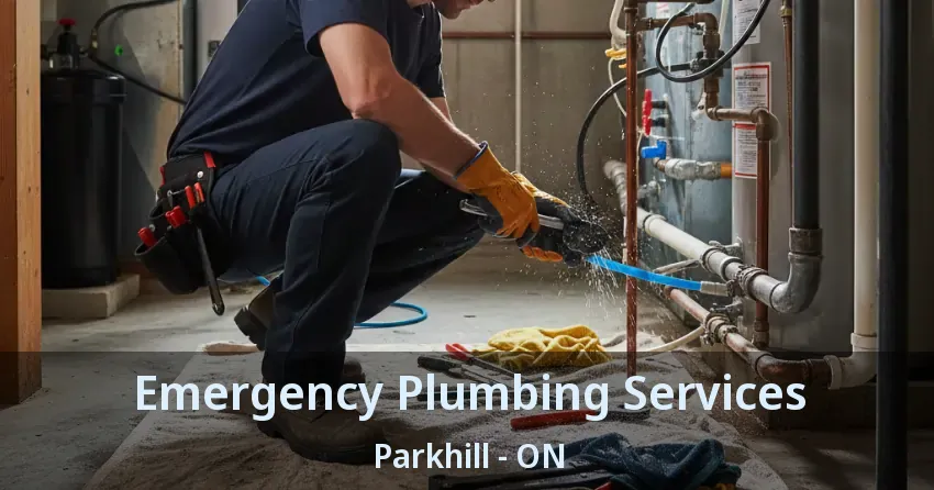 Emergency Plumbing Services Parkhill - ON