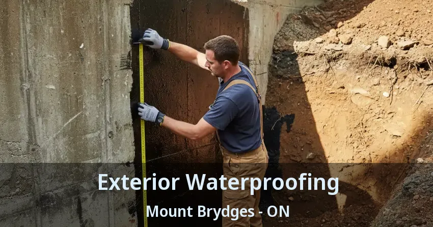 Exterior Waterproofing Mount Brydges - ON