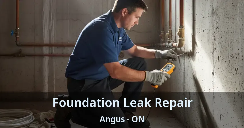 Foundation Leak Repair Angus - ON