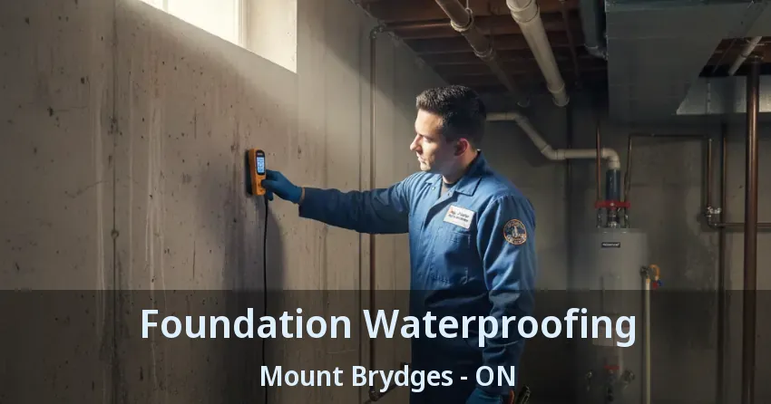 Foundation Waterproofing Mount Brydges - ON