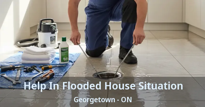 Help In Flooded House Situation Georgetown - ON