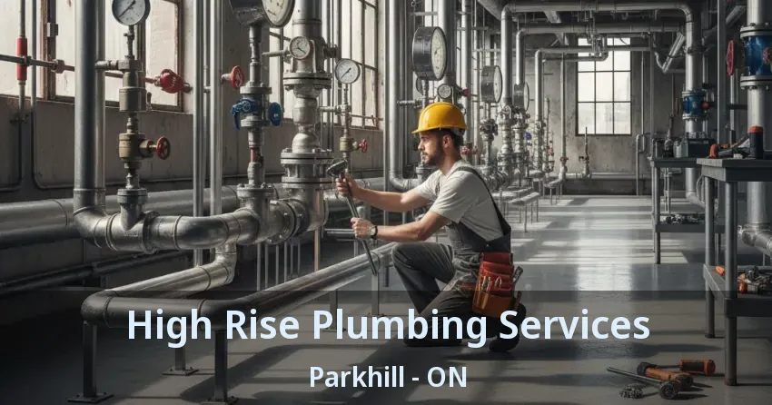 High Rise Plumbing Services Parkhill - ON