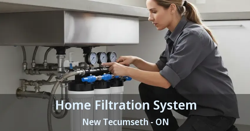 Home Filtration System New Tecumseth - ON