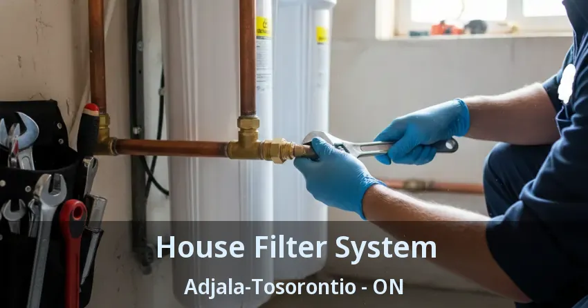 House Filter System Adjala-Tosorontio - ON