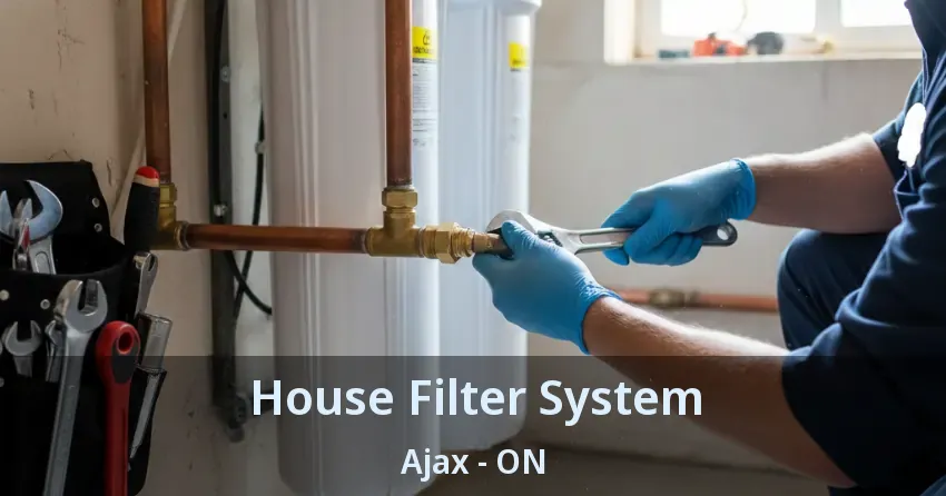 House Filter System Ajax - ON