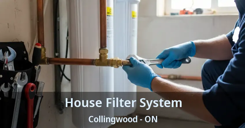 House Filter System Collingwood - ON