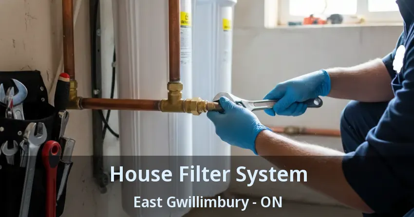 House Filter System East Gwillimbury - ON