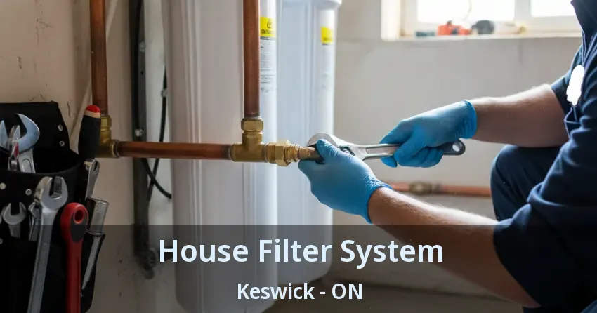 House Filter System Keswick - ON