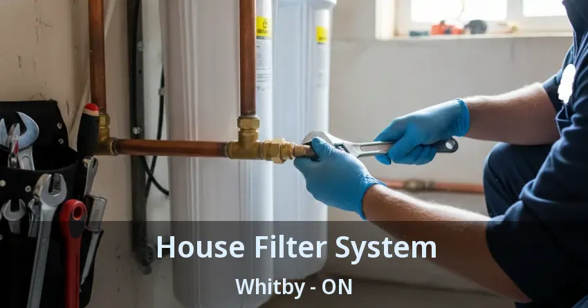 House Filter System Whitby - ON